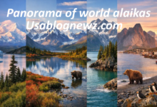 Panorama of World Alaikas